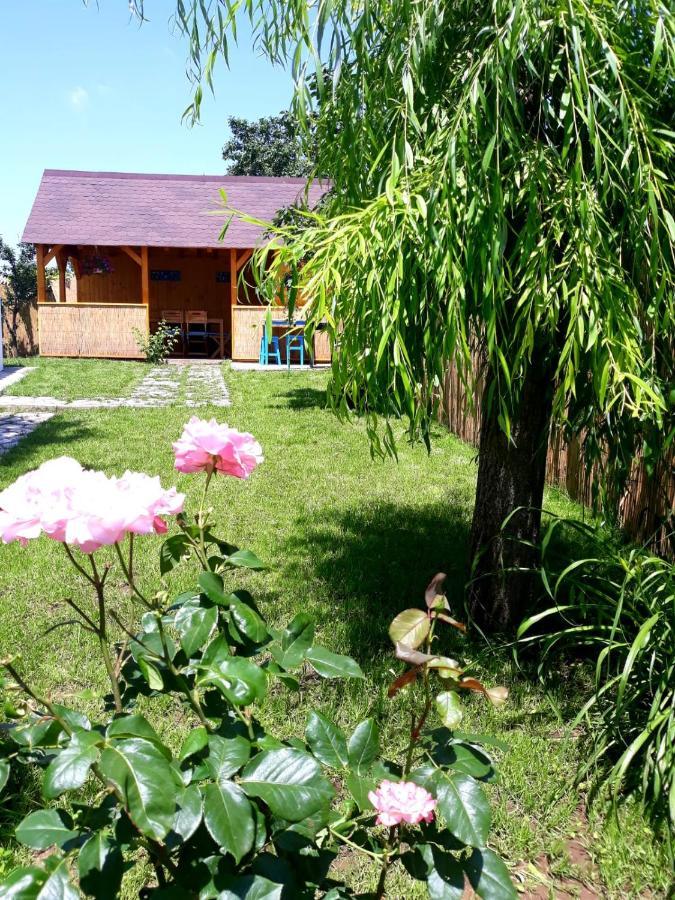 Casa Pavel Jurilovca Villa Exterior photo